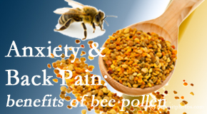 Pure Chiropractic shares info on the benefits of bee pollen on cognitive function that may be impaired when dealing with back pain.