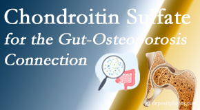 Pure Chiropractic shares new research linking microbiota in the gut to chondroitin sulfate and bone health and osteoporosis. 