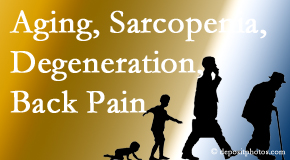 Pure Chiropractic lessens a lot of back pain and sees a lot of related sarcopenia and back muscle degeneration.