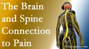 Pure Chiropractic looks at the connection between the brain and spine in back pain patients to better help them find pain relief.