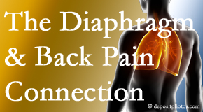 Pure Chiropractic knows the relationship of the diaphragm to the body and spine and back pain. 