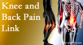 Pure Chiropractic treats back pain and knee osteoarthritis to help avert falls.