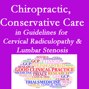 Concord, NC chiropractic care for cervical radiculopathy and lumbar spinal stenosis is often ignored in medical studies and guidelines despite documented benefits. 