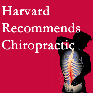 Pure Chiropractic offers chiropractic care like Harvard recommends.