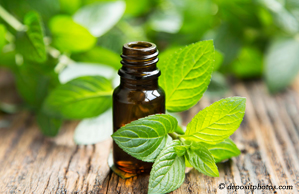 Concord, NC peppermint pain relieving benefits