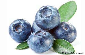 Concord, NC chiropractic and nutritious blueberries