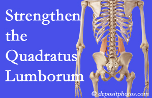 Concord, NC chiropractic care offers exercise recommendations to strengthen spine muscles like the quadratus lumborum as the back heals and recovers.