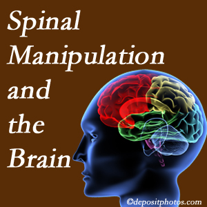 Pure Chiropractic [presents research on the benefits of spinal manipulation for brain function. 