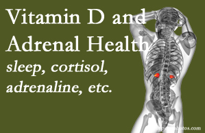 Pure Chiropractic shares new research about the effect of vitamin D on adrenal health and function.